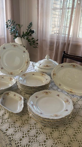 Servizio piatti porcellana